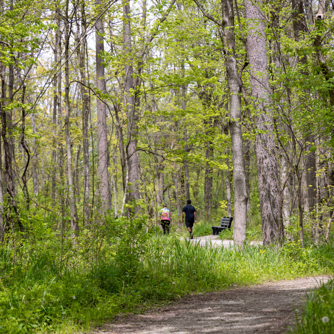 Two people walk along the dirt trail at Williams Park